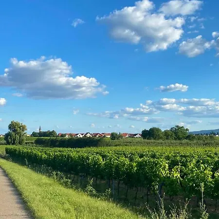 Semesterbostad Ruhe Und Entspannung Erpolzheim