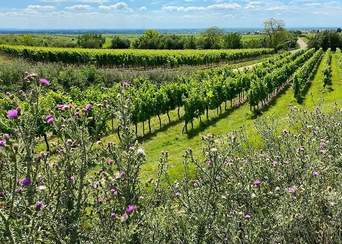 Ruhe Und Entspannung Casa vacanze *